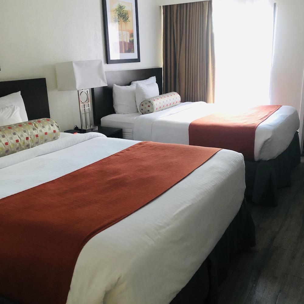 Baymont By Wyndham Tampa Near Busch Gardens Hotel Exterior foto