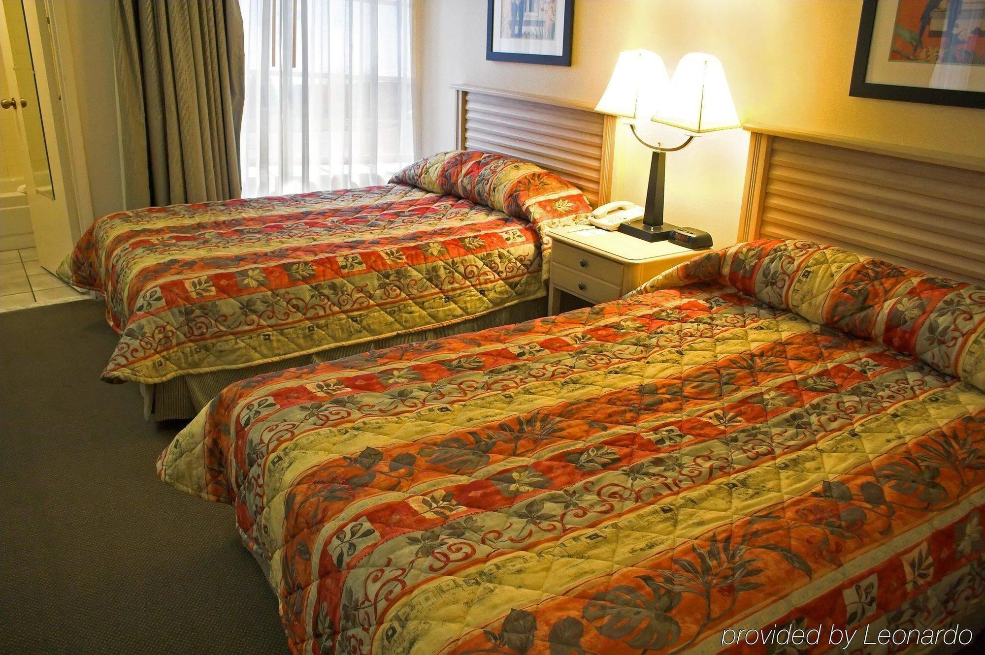 Baymont By Wyndham Tampa Near Busch Gardens Hotel Quarto foto