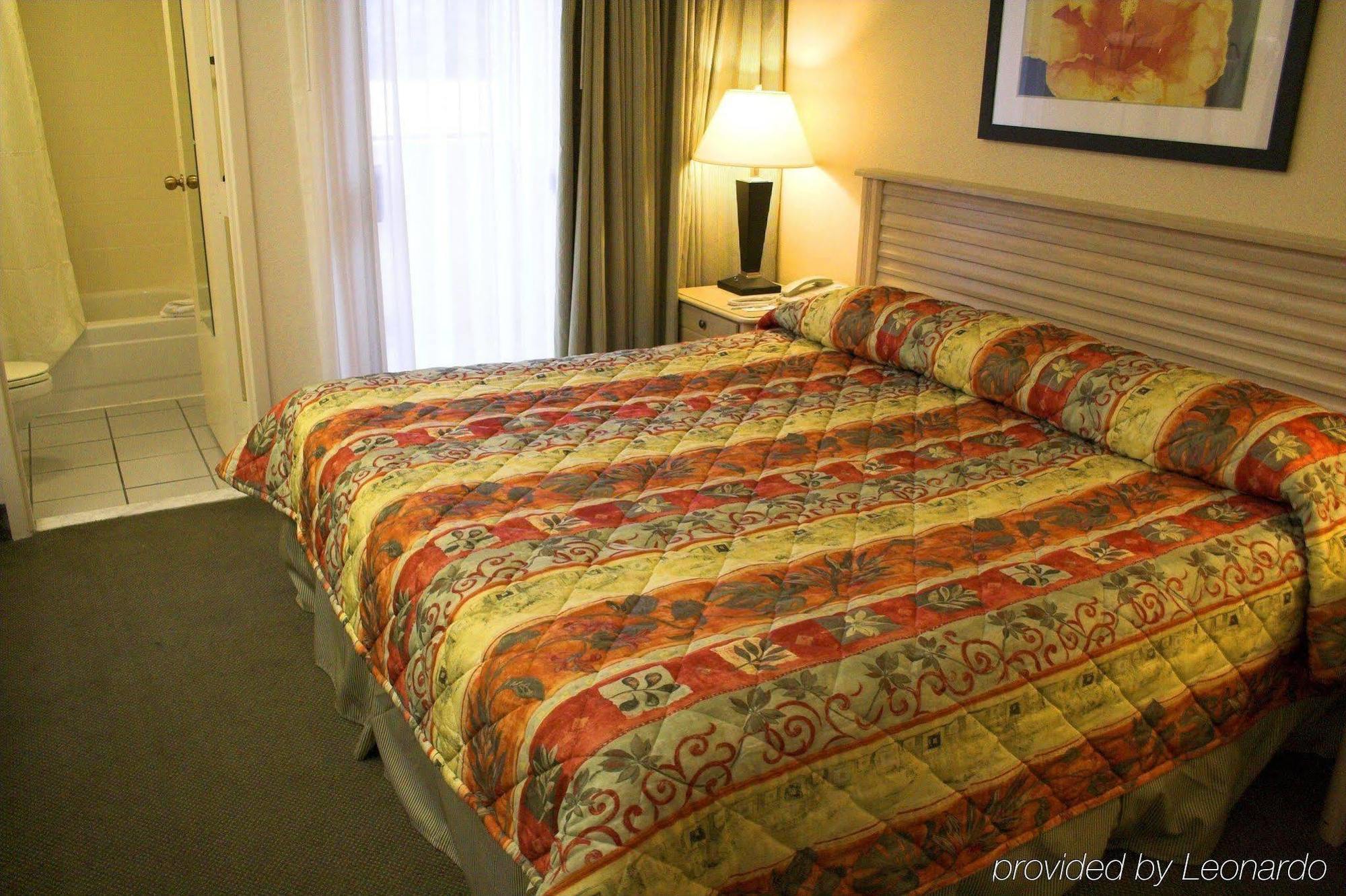 Baymont By Wyndham Tampa Near Busch Gardens Hotel Quarto foto